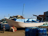 Sakalla, Hurghada - Rybí trh
