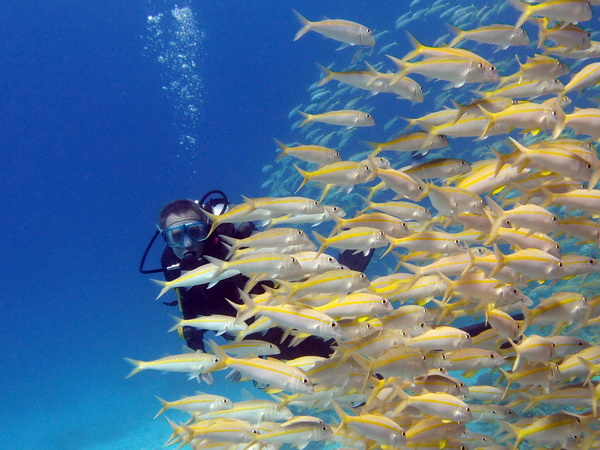 Hurghada - potápění